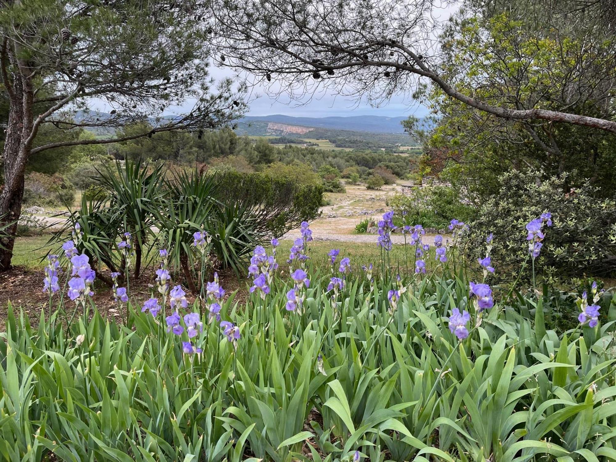 Lovely Views In Secret Provence ジュカ エクステリア 写真