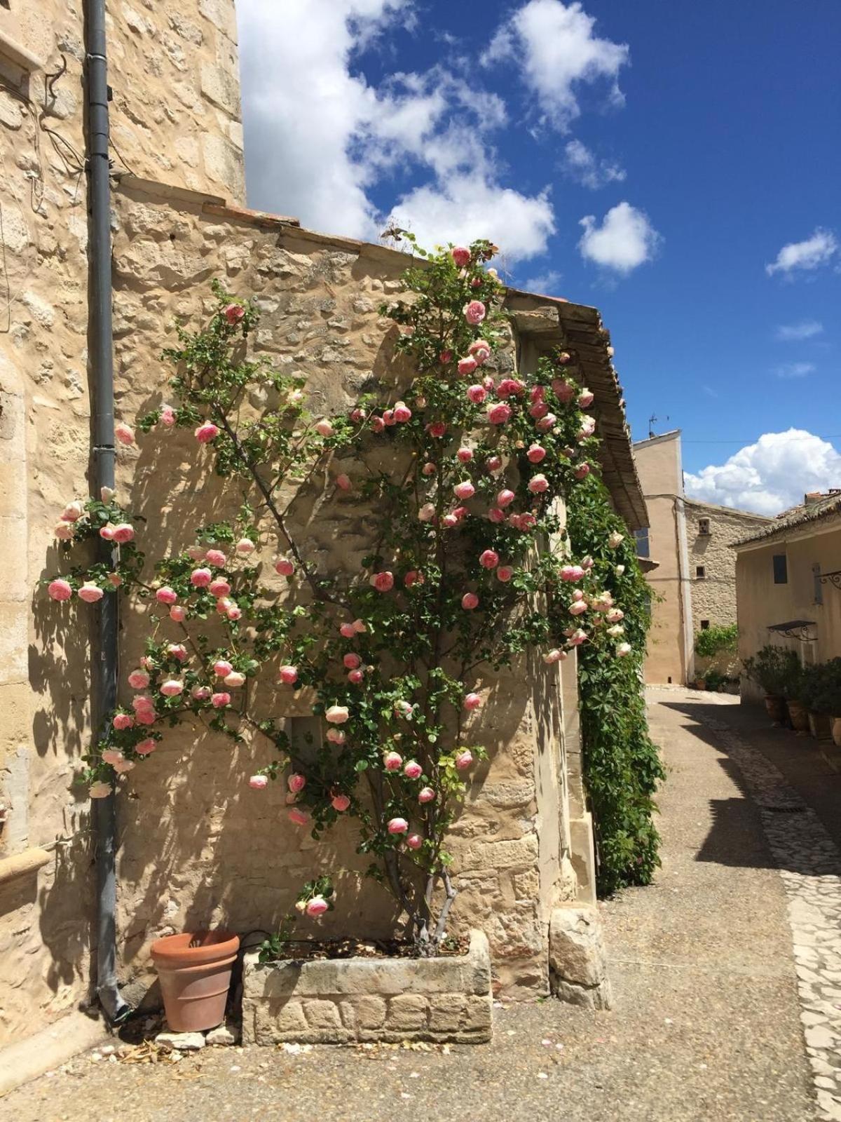 Lovely Views In Secret Provence ジュカ エクステリア 写真